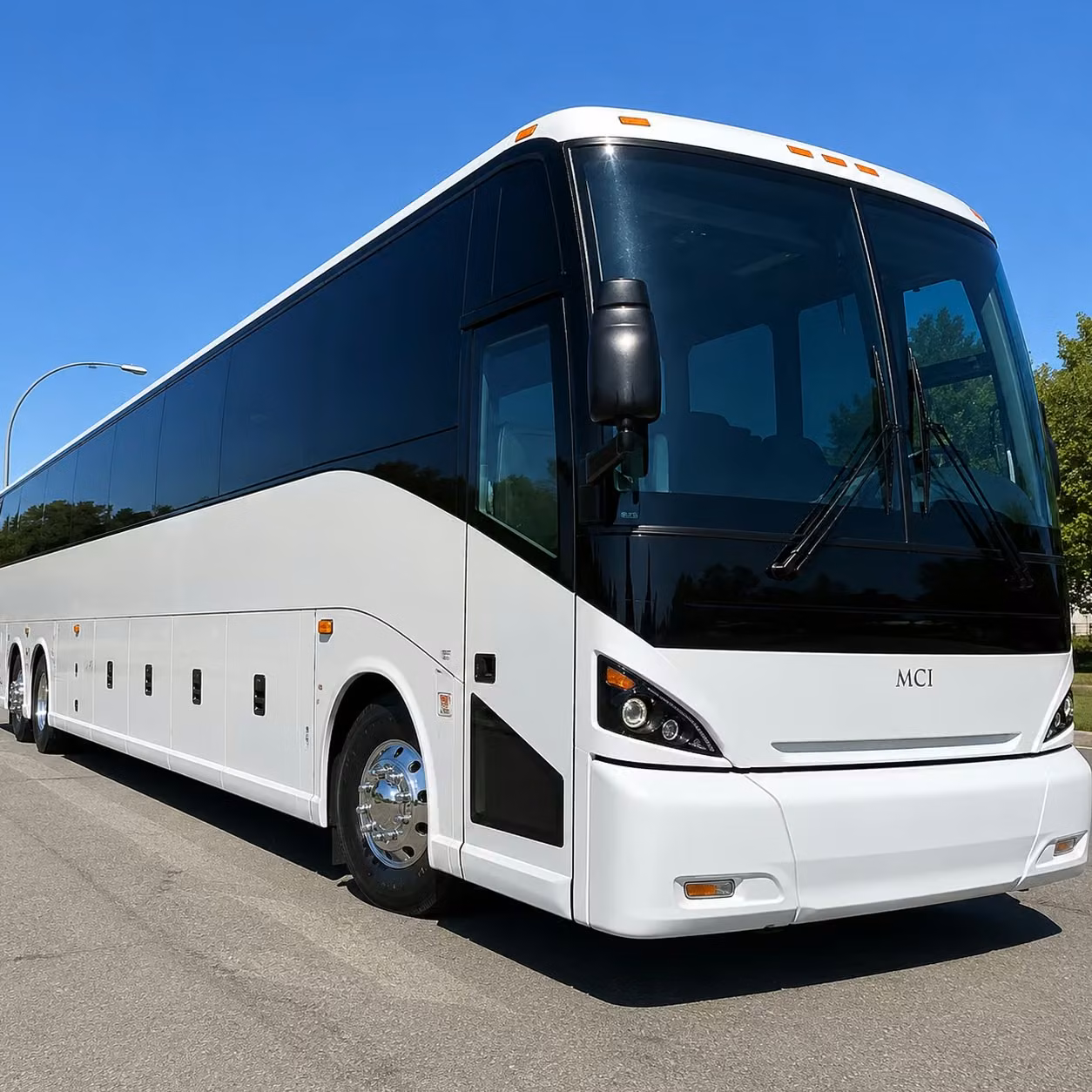 charter buses to the aquarium of the pacific make long beach field trips unforgettable