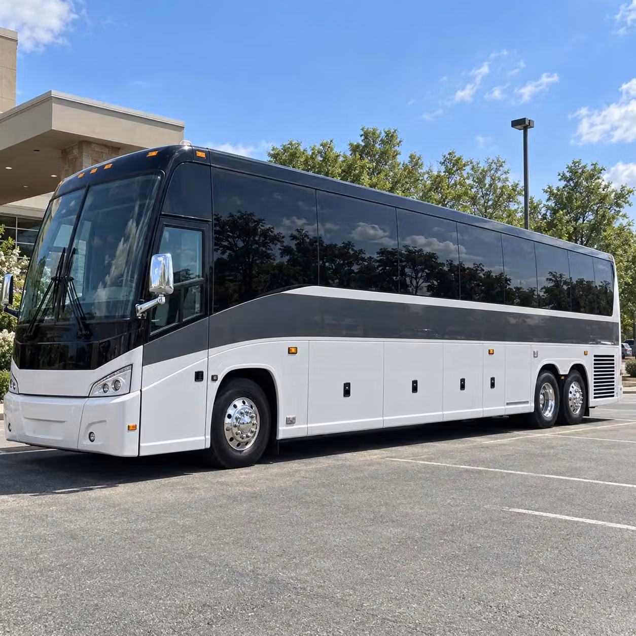 science center trips zoo outings and museum runs long beach field trip transportation for every destination